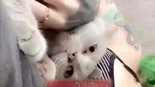 Cortana Blue tease snaps snapchat premium cams porn cams sex 1