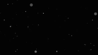 paola celeb️️️️️ showcam for show anal fingering show girls leaked