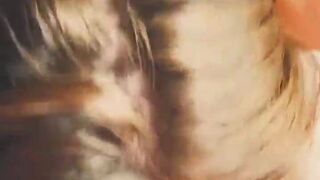 Chessie Kay blowjob oral sex porn pornstar girl lingerie bg porn cams sex