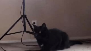 eeeveee  fuck show 2017 30 of June