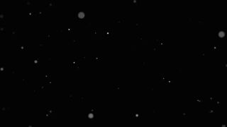 belle delphine showcam for show show girls leak