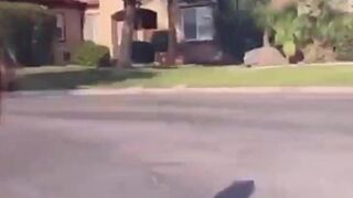 Riley Reid outdoor fully naked tease on the street in toy car snapchat premium 2020/07/24 porn cams sex