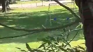 Luna raise gotta go find taht tree to play snapchat premium porn cams sex