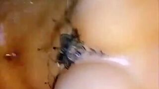 Celine Centino bathroom dildo blowjob riding snapchat show