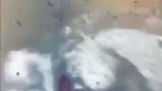 Dani Daniels bathroom pussy play snapchat show