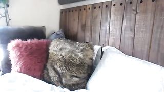 kristennn  show off her orgasm fingers